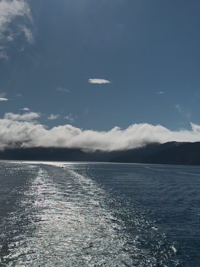 🚢 芦ノ湖を巡る冒険：箱根海賊船 ⚓️  