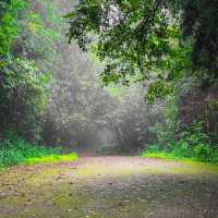 น้ำตกแม่ปาน (Mae Pan Waterfall) เชียงใหม่
