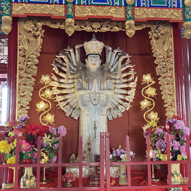 🇨🇳봉래 신비로운 삼선산풍경구의 내부와 귀여운 동물들🦢🐈‍⬛