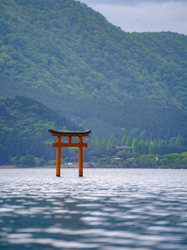 新緑の箱根九頭龍神社🌿自然とご利益に癒される旅