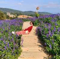 Isn't Korea BUT Chiang Mai Thailand!