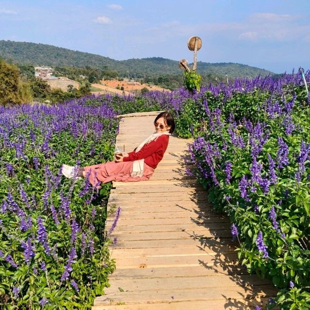 Isn't Korea BUT Chiang Mai Thailand!