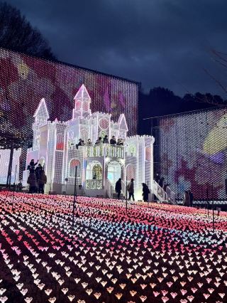 日本三大燈光秀 足利花卉公園