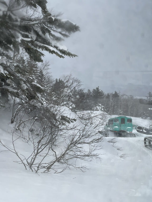 【宮城×冬の旅】冬の風物詩 樹氷を雪上車に乗って観光