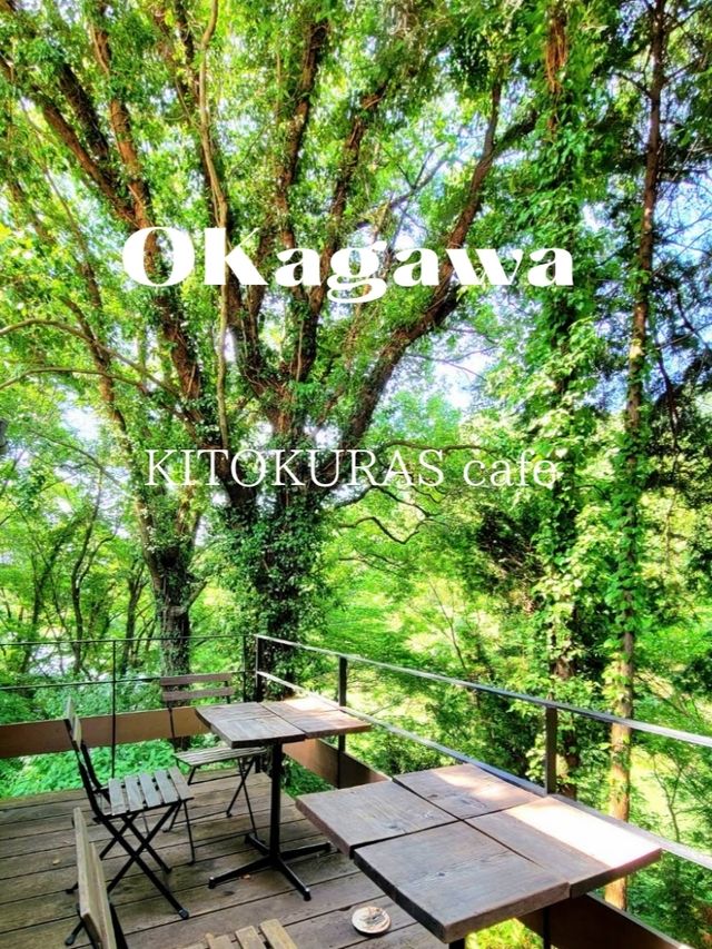 【完全に森の中】材木屋が営むカフェ