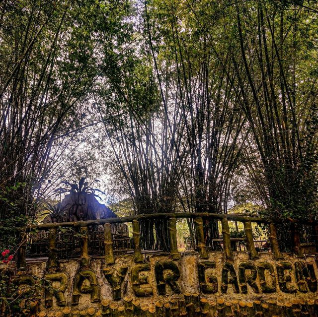 Have you ever been in this Bamboo Forest?
