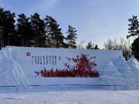 2-Days winter trip to Harbin