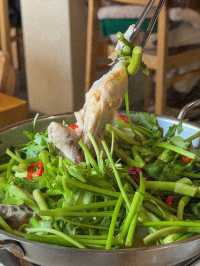 경주 향긋한 미나리 닭전골 맛집