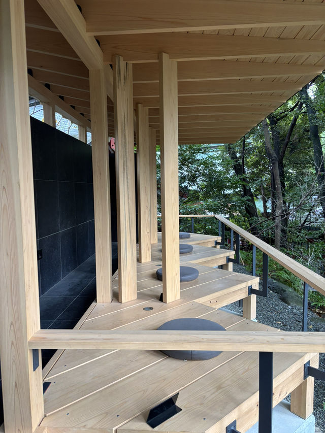 探訪來宮神社大楠：靜岡熱海的千年神樹，祈願與能量的聖地