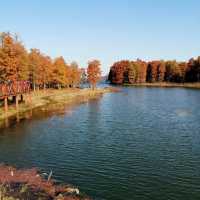 金鐘湖公園•靈氣山水