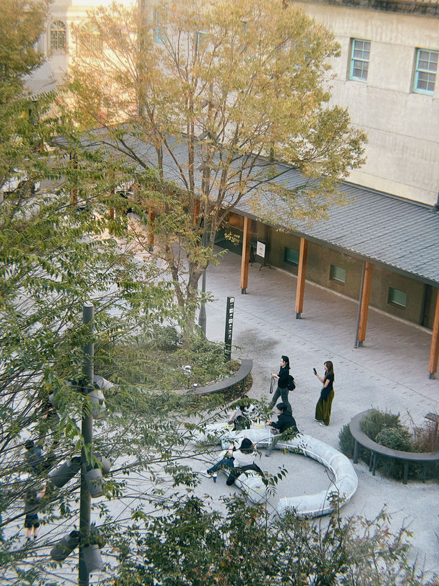 Chiayi Art Museum🖼️🎨 — Where art comes to life
