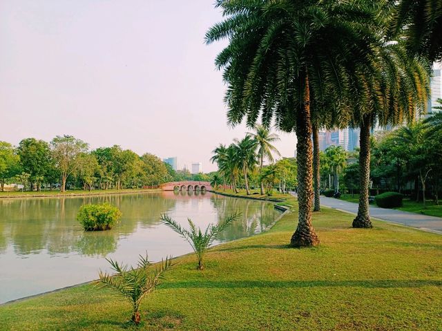 泰國曼谷城市綠洲湖泊公園景點:乍都节公园，適合拍照📸打卡親子遊