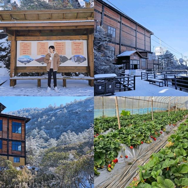 Kunming [คุนหมิง] มหานครในฝัน 🇨🇳