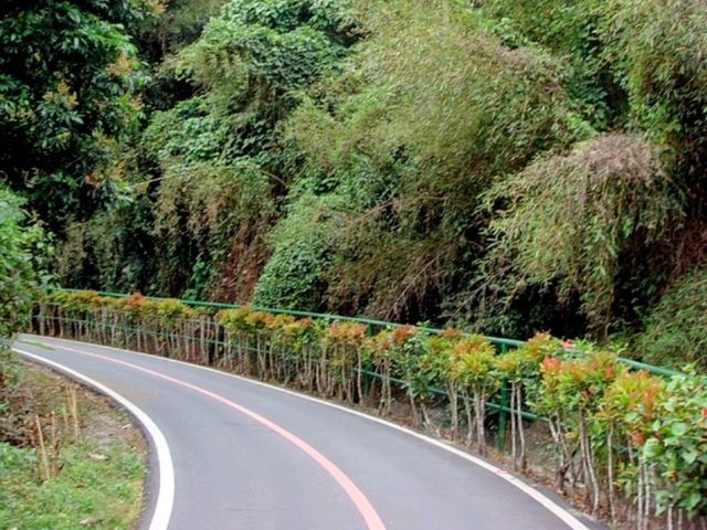 騎單車逍遙遊花東-關山環鎮自行車道