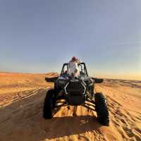 Desert Safari Adventure in a Day! 