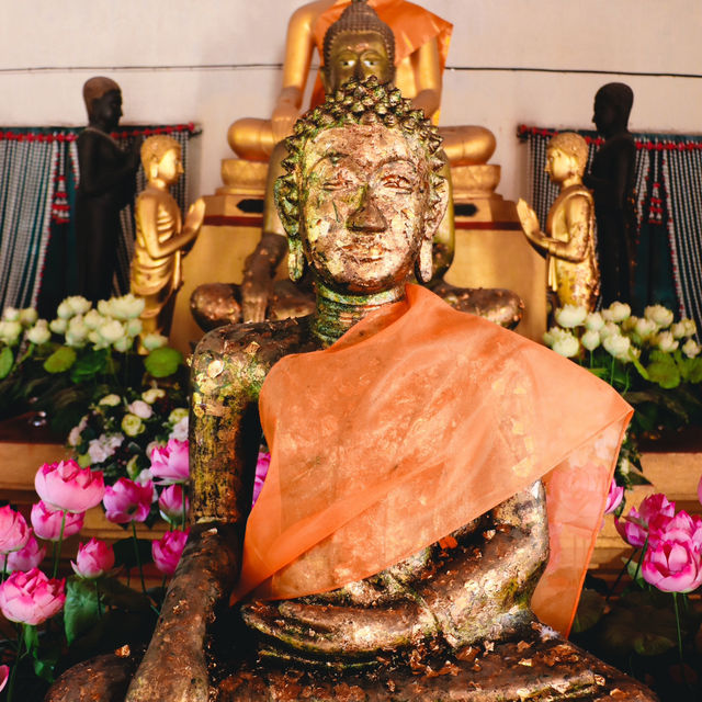 วัดใหม่พิบูลย์ผล
