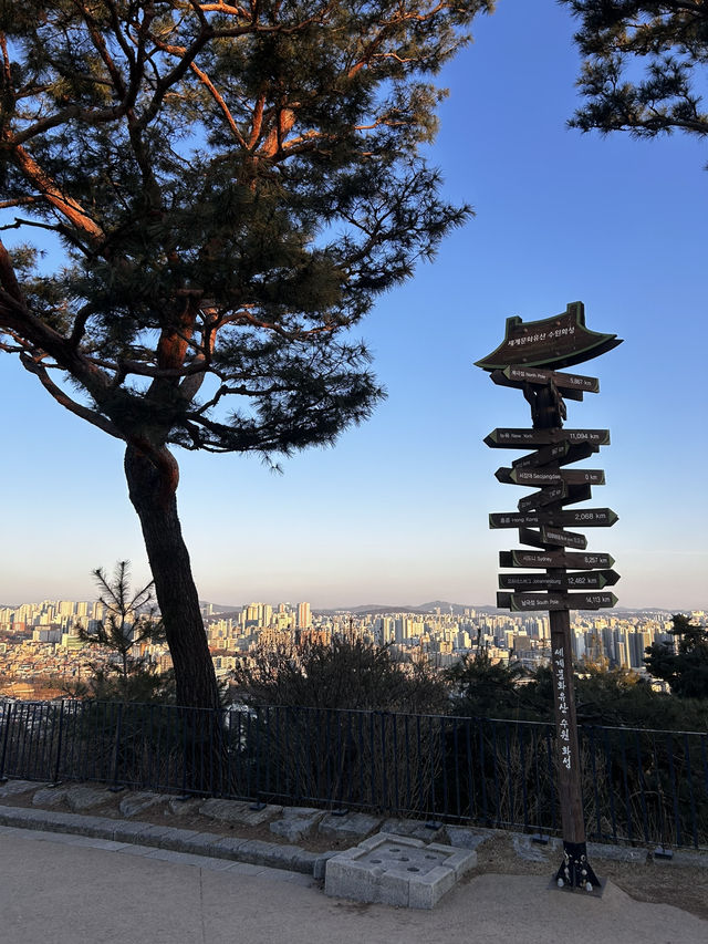도심 한가운데 우뚝 선 해발 143m의 아기자기한 유네스코 세계문화유산 팔달산🇰🇷