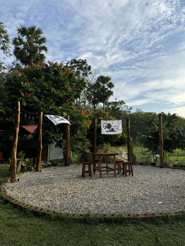 ไปดูบัวใหญ่ที่ หนำวังยาวฟาร์ม เทพา