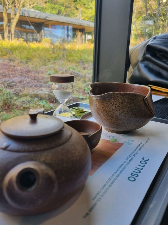 💗🍐제주 서쪽 가볼만한 곳 오설록 티뮤지엄 