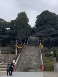 【栃木・宇都宮】宇都宮観光🥟