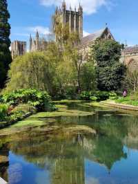 The Bishop's Palace & Gardens