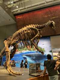 🇦🇺｜知的好奇心をくすぐる、Queensland Museumの旅