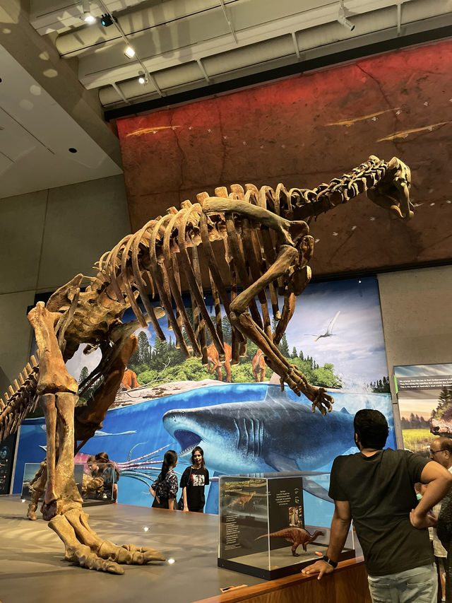 🇦🇺｜知的好奇心をくすぐる、Queensland Museumの旅