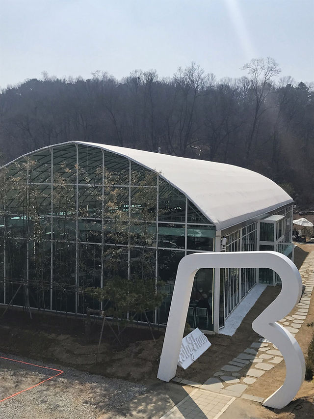 애견동반 가능한 인천대공원 카페