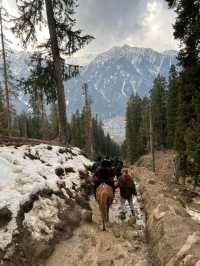 Riding Through Paradise: Horse Riding in Pahalgam