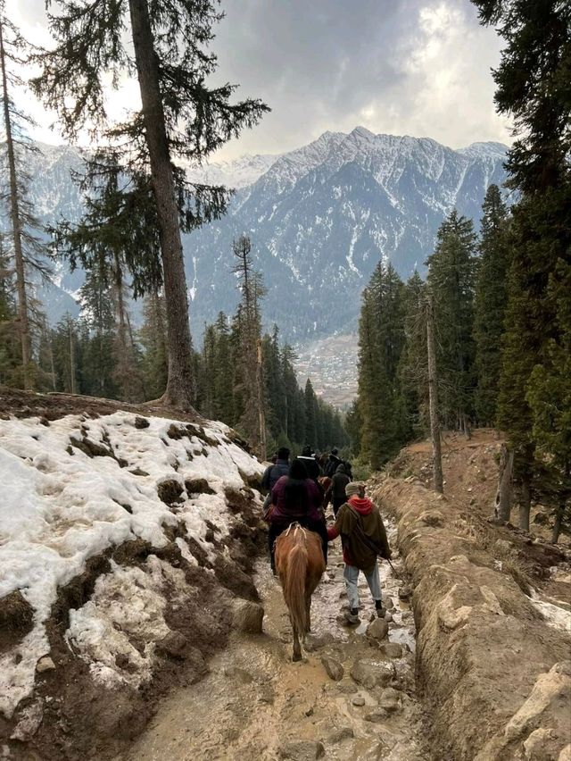 Riding Through Paradise: Horse Riding in Pahalgam