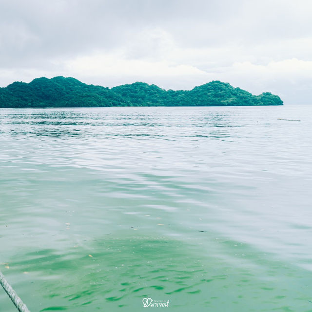 เดินเล่นบนสะพานไม้ ชมวิวอ่าวเตล็ดสุดปัง! 🌿🌊