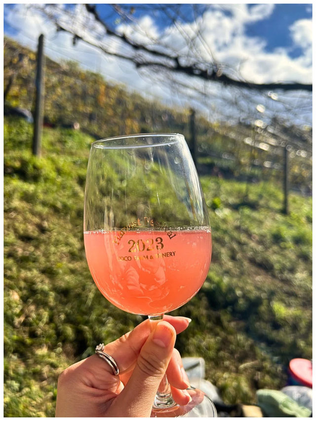 【栃木/足利】年に1度の収穫祭が楽しすぎた‼︎＊COCO FARM & WINERY＊