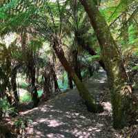 Great Otway National Park