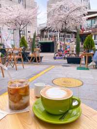Best Spring Cafés in Seoul🌸 ☕️