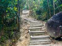 Conquer Lion Rock: A Challenging Spring Hike in Hong Kong