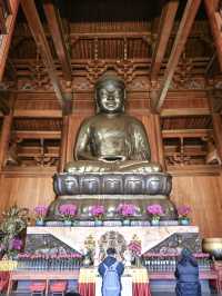 【上海】黄金に輝く！静安寺