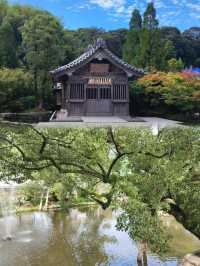 福岡太宰府站一日遊：歷史與文化的深度探索⛩️📜