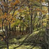 Sapporo Art Park