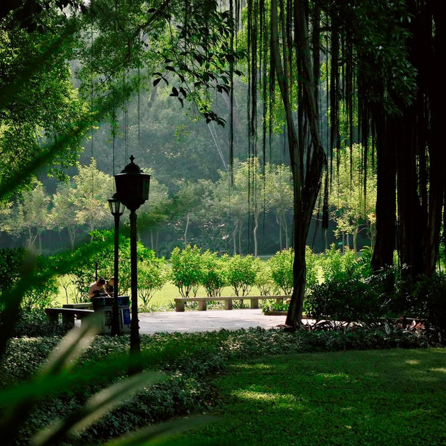 珠海中山公園｜空氣清新休閒之地