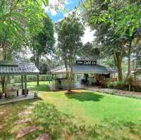 🌲 ไร่วนาทิพย์ ☕️ คาเฟ่สไตล์บ้านกลางหุบเขา