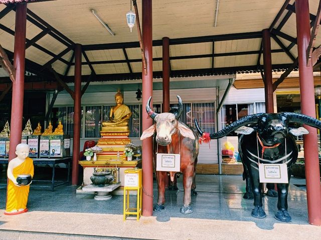 泰國曼谷湄南河畔歷史古跡寺廟一日遊行程，體驗曼谷當地人文風情，適合打卡拍照📸