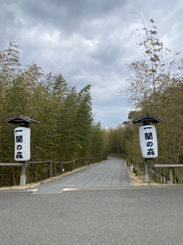福岡旅遊