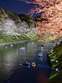 行かなきゃ損‼️夜のボートが1番混むよ！