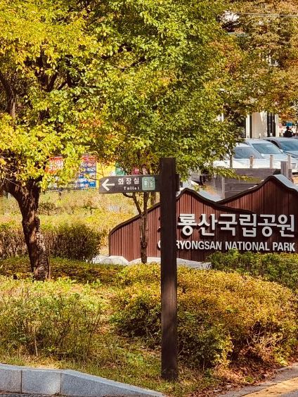 Bingyesan: A Spring Picnic with Scenic Views 