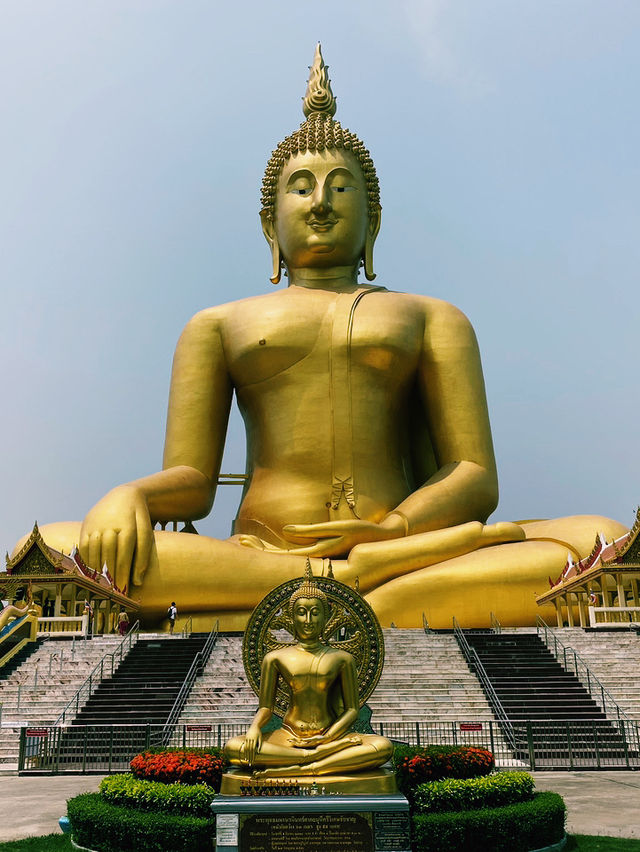 今こそ、タイへ！🇹🇭✈️ 最新入国情報⚠️