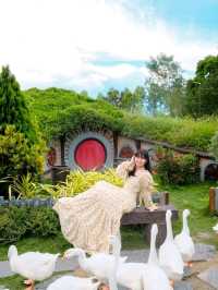 เที่ยวสวนผึ้งราชบุรี ที่ Alpacahill