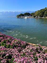 Take a scenic walk along the Erhai Lake