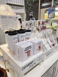 Not Just a Mall – A Whole Mood: Exploring The Hyundai Seoul 