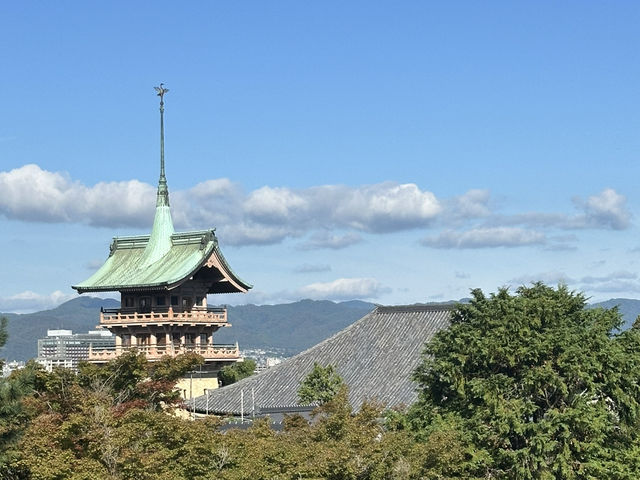 靜謐之美：探訪京都高台寺的歷史與風情