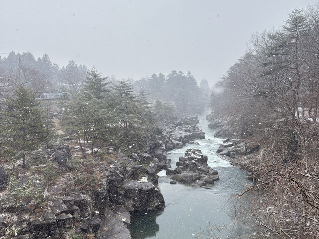 花卷盛岡自駕遊